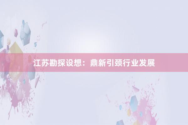 江苏勘探设想：鼎新引颈行业发展